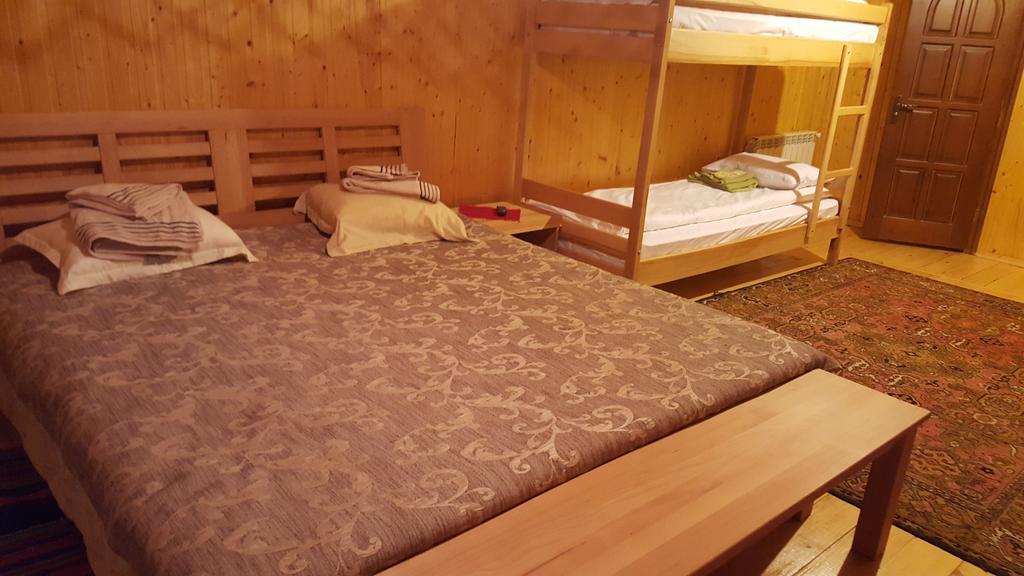 Guest House In Carpathians Migovo Δωμάτιο φωτογραφία